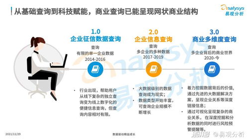 商業(yè)查詢已成社會信用基石，中國商業(yè)查詢市場發(fā)展機(jī)遇與企業(yè)在咨詢服務(wù)下的市場策略
