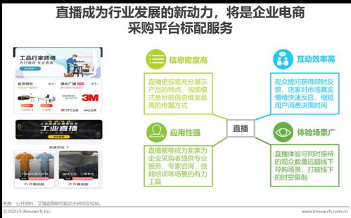 2020年中國企業(yè)采購電商市場發(fā)展研究報告 企業(yè)市場開發(fā)新路徑與戰(zhàn)略洞察